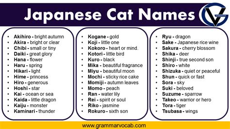 common cat names in japan